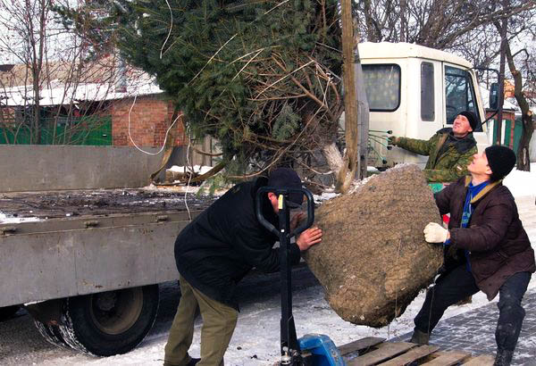 Поступление товара Поступление товара